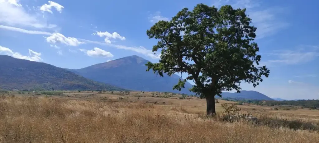 planina rtanj