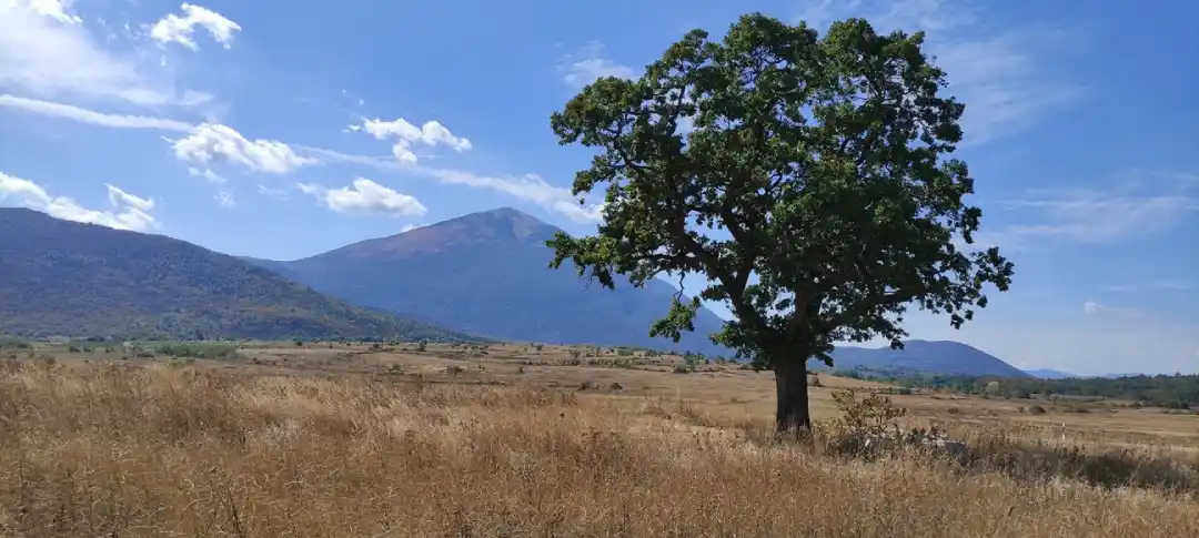 planina rtanj